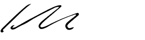 Schmidt, Wirtschaftsprüfer [German Public Auditor] (signature)
