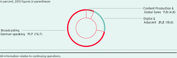 Group revenue share by segment (pie chart)